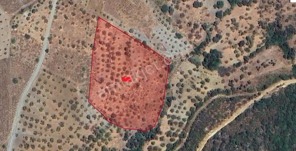 Datça Ela Emlak'tan Karaköy Mah. Satılık Tarla