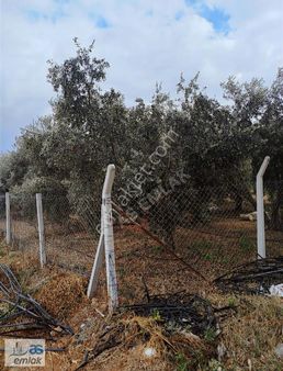 Evrenseki De Etrafı Çevrili 601m2 Arsamız Satılık