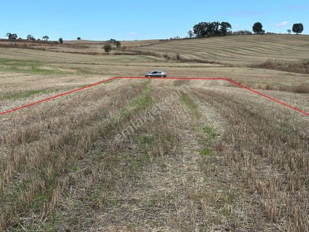 Malkara Kalaycı Köyünde Satılık Müstakil Tarla