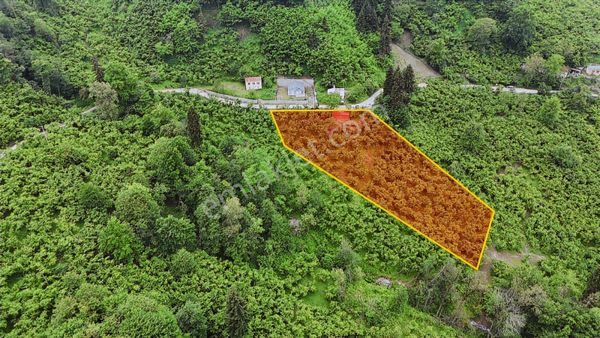 Tutkun Gayrimenkul'den Dolaylı'da Satılık 5000m2 Arsa