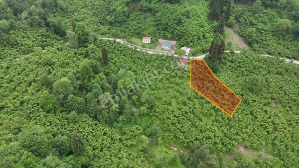 Tutkun Gayrimenkul'den Dolaylı'da Satılık Fırsat 885m2 Arsa