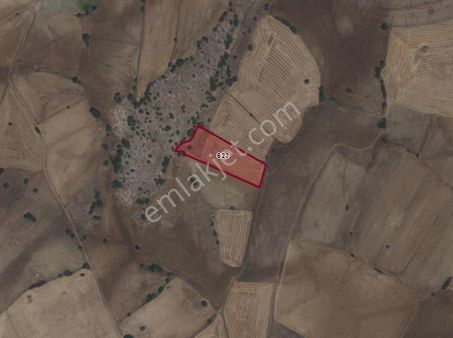 Rw Milyon'dan Odunpazarı Avdan'da 6000 M2 Satılık Tarla