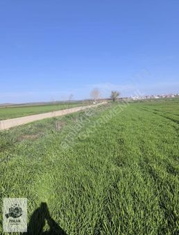 Tekirdağ Marmaraereğlisi Çeşmelide Denize Ve Yola Cephe 301,4