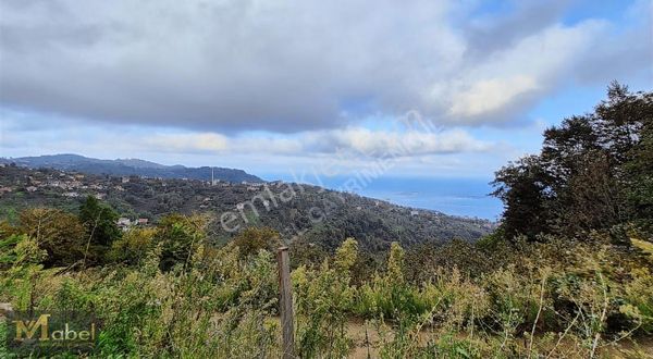 Mabel Gayrimenkul-perşembe Tarlacık-deniz Manzaralı