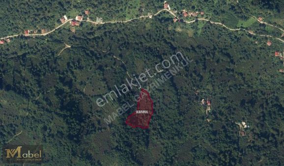 Mabel Gayrimekul-perşembe Medreseönü'nde Bu Fiyata Başka Yok