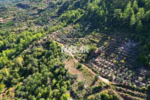 Alanya Türktaş'ta 4.298 M² Satılık Tarla
