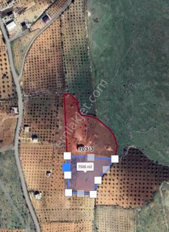 Delen Gayrimenkul'den Kürüm'de Fırsat Satılık Tarla !!