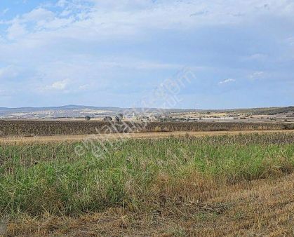 Salihli Durasıllı Da 14dönüm Arazi