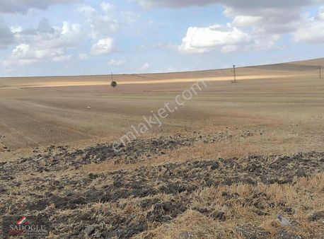 Babaeski Müsellim'de 53 Mt Asfalt Yol Bölgenin En Uygun Tarlası