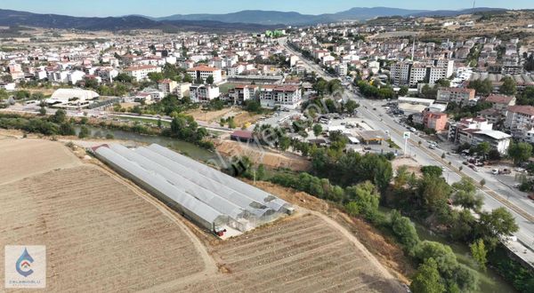 Osmaneli'nde Tam Donanımlı Modern Fide Üretim Tesisi Satılık