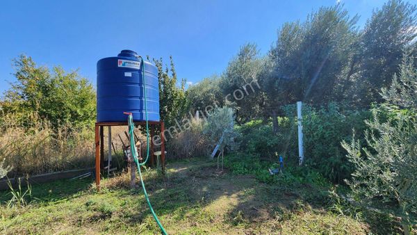 Kemalpaşa Ören Satılık Bahçe 830 M2 Elektrik Ve Su