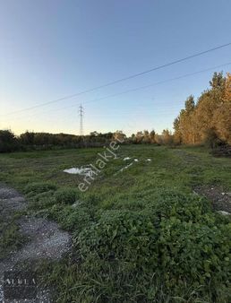 Kartepe Maşukiye 4.688m2 Sapanca Gölüne Yakın Tarla