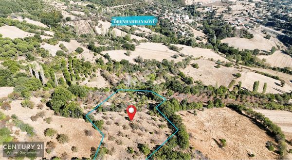 C21 Winner Kepsut Örenharman 8.207m² Satılık Bademlik