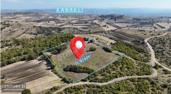 C21 Winner Balıkesir Cinge'de 11.919m² Satılık Tarla