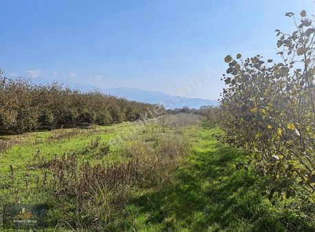 Sinerji Gruptan Hobi Bahçeşi