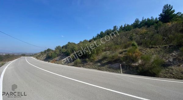 Altıeylül Türkali Mah. Yola Sıfır Emsalsiz Satılık Tarla