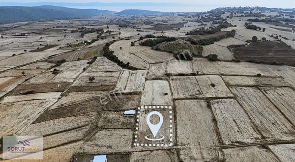Edirne Keşan Mecidiyede 2320 M² Müstakil Tapulu Satılık Tarla
