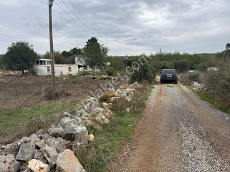 Bodrum Kumköy’de Satılık İmarlı Arsa