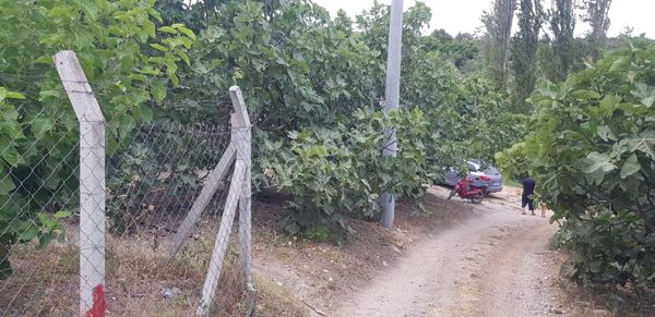 İsmail Hoca'dan Mudanya'da Satılık