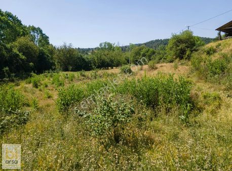 Bolu Göynük'te İmarlı 315 M² Köyiçi Müstakil Arsa !