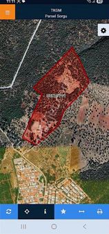 Aydın Didim Fevzipaşada Satılık 480 M2 Hisseli Zeytinlik