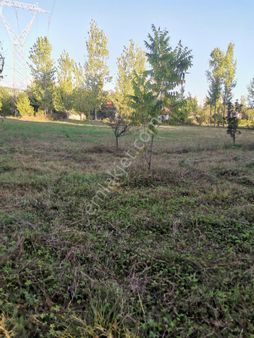 Stop’tan *köyceğiz Yangı *3250 M2 Satılıktarla