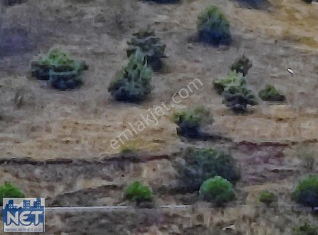 Net Profesyonel Emlak'tan Akçatepe Yolunda Satılık Arazi