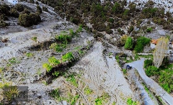 Ladiesden Çameli Ayvacık Mah.de 1.191 M2 Satılık Tarla