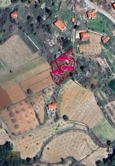 Ladiesden Çameli Kolak Da 420 M2 Satılık Tarla