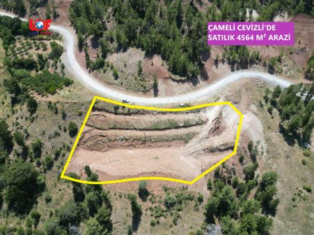 🦋lobby Fortis'ten Satılık Çameli Cevizli'de Yerleşim Sınırında 4564 M² Arazi🦋