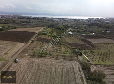 Gelibolu Gazisüleymanpaşa Mah. Satılık Meyvalık Ve Tarla