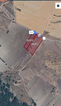 Tavşanlı Örende 8386 M² Fırsat Satılık Tarla