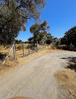 Capital Emlak'tan Dirmil Mahallesinde Tek Tapu Tarla