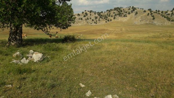 Yayla Girdev Satılık İki Parsel