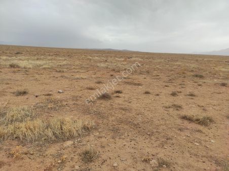 Sezenler Emlaktan Çumra Kuzucu Mahallesi'nde