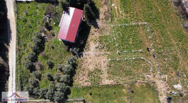 Real'den Oğlananası Çoban Et Arkasında 200 M2 Hisse Tapulu Bahçe