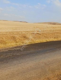 Baraklı Yolunda Satılık Arsalar