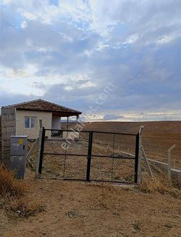 Yazlık Kışlık Hazır Ev 554 Metrede