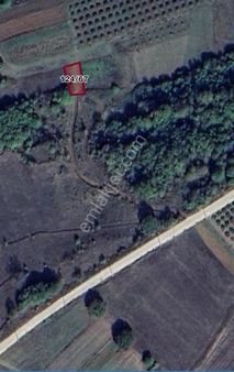 Terzilerde Caddeye Yakın 272m2 Satılık Tarla