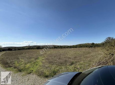 Seferihisar Camikebir Mah. İmara Yakın 4.850m² Satılık Tarla