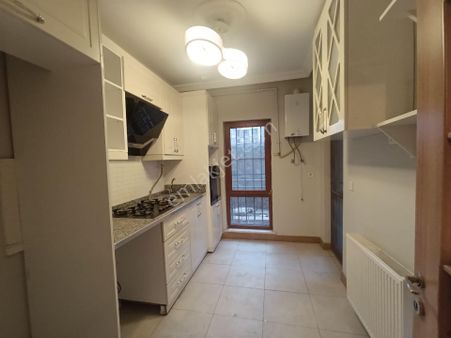 Çöl Güzeli Toki'de