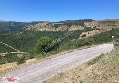Samsun İlkadım Aşağıavdanda Satılık Arazi