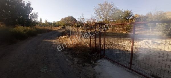 Niğde Ulukışla Beyagılı Köyünde Ssatılık Bahçe