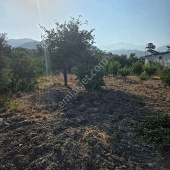 Arsuz Akçalı Mah İmara Açık Parsel