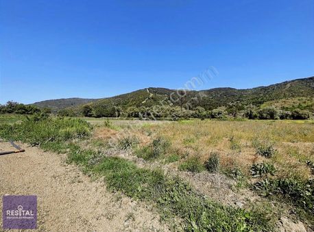 Karacabey Ekmekçi Doğa İle İç İçe Fırsat 3600m2 Satılık Tarla