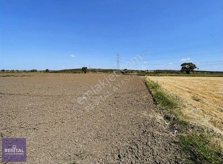 Karacabey Kulakpınar Mah Kaçırılmayacak Satılık 4100 M2 Tarla