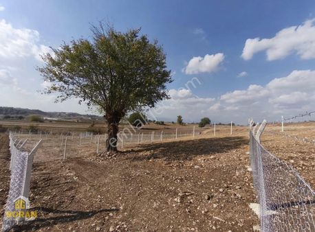 Boran Gayrimenkul'den Karaisalı Kuzgunda Satılık Araziler