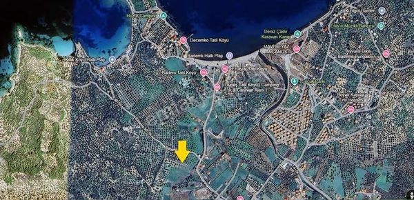 İzmir Dikili Bademli'de 12 Dönüm Denize 400metre Uzaklıkta Tarla
