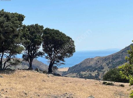 Gökçeada'da Deniz Manzaralı 200 M² Arsa – Yatırıma Uygun Fırsat!