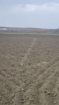 Ankara Gölbaşı Bağiçinde